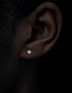 Diamonds with Personality in Gold Earrings – 0.65 ct.