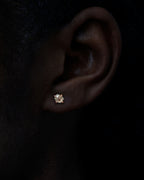 1.07 ct. - Delicate Beauties in Rose Gold Earrings