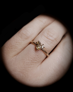 0.60 ct. - Sun, Earth and Light Cluster Gold Ring