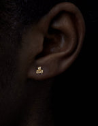 0.67 ct. - Funklende Stjerner Øreringe